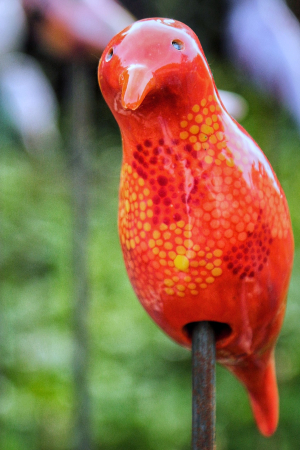 Marianne Barbier - Drolesdezoiseaux petit (Orange)(Ceramic)(Photo Nicole Kusters)